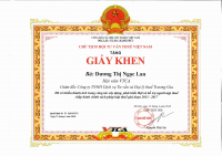 chu-tich-hoi-tu-van-thue-viet-nam