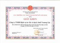 cuc-truong-cuc-thue-tphcm