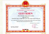 chu-tich-hoi-tu-van-thue-viet-nam